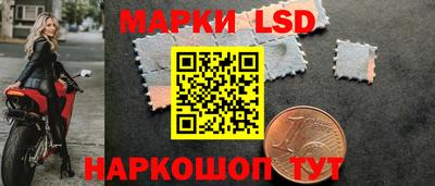 мяу мяу мука Бузулук