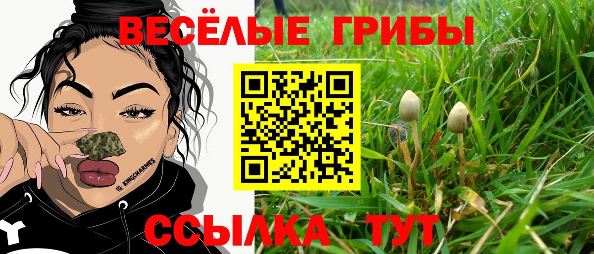 Галлюциногенные грибы Cubensis  Вход с VPN  Старая Русса 